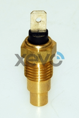 Sensor, coolant temperature (XTS8106)