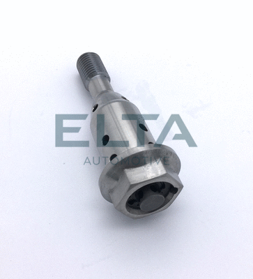 Control Valve, camshaft adjustment (EE1042)