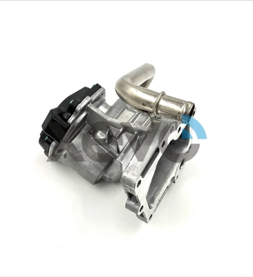 EGR Valve (XEG9313)