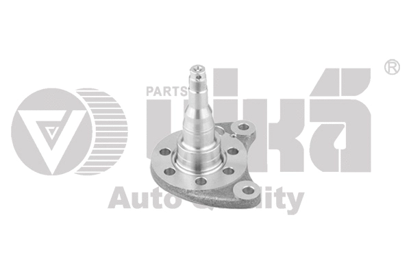 Kingpin, axle beam (55010615801)