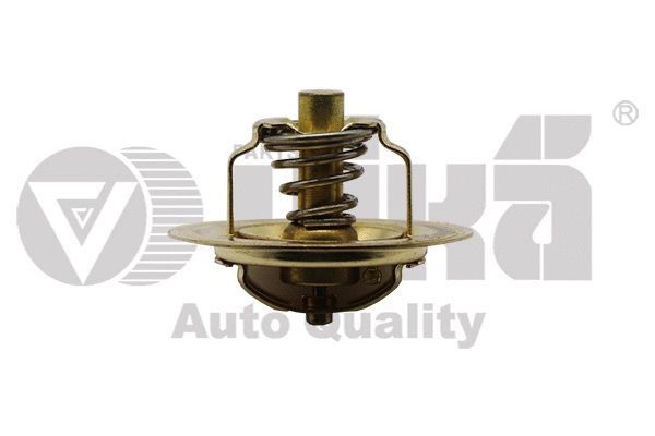 Thermostat, coolant (10950094001)