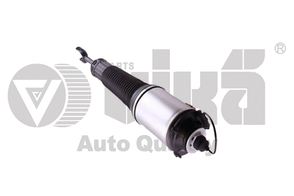 Air Suspension Strut (46160000201)