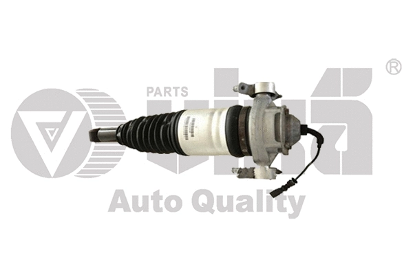 Air Suspension Strut (46160001101)