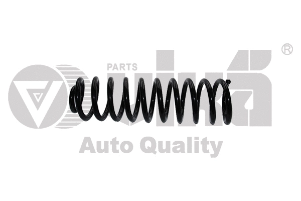 Suspension Spring (55110981001)