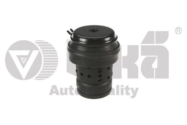 Mounting, engine (11990249001)