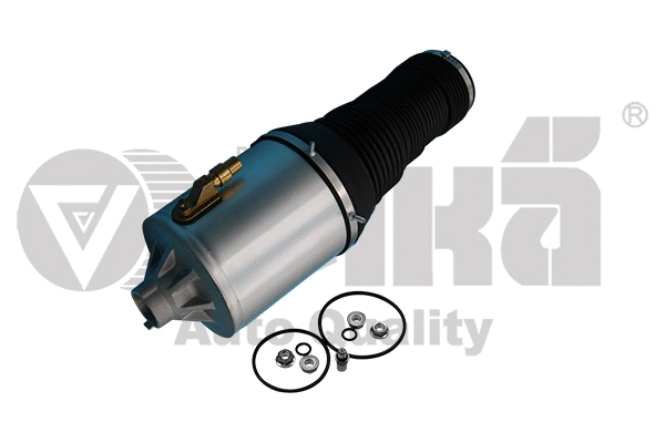 Air Suspension Strut (66160001801)