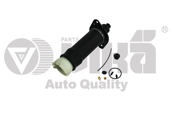 Air Suspension Strut (66160001501)