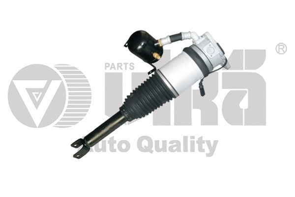 Air Suspension Strut (46160000401)