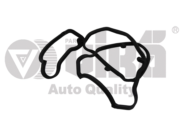 Gasket, cylinder head cover (11030222201)