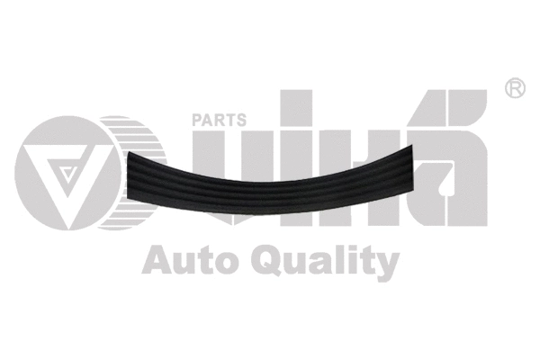 V-Ribbed Belt (19030584701)