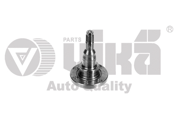 Wheel Hub (55010033901)