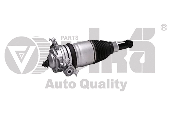 Air Suspension Strut (46160001201)