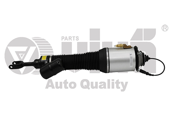 Air Suspension Strut (56160000201)