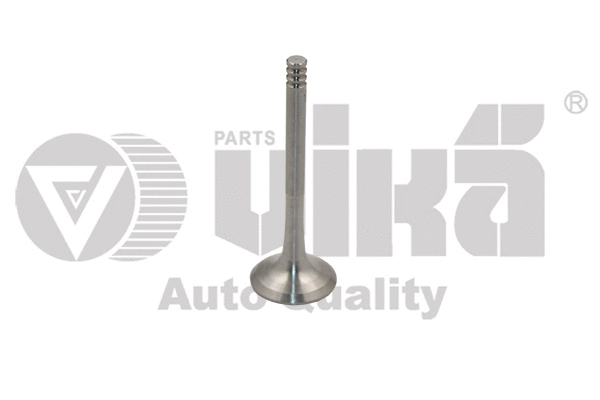 Exhaust Valve (11090212901)