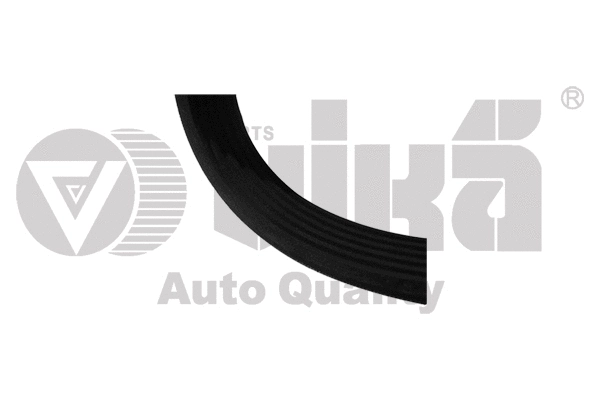 V-Ribbed Belt (22600870801)