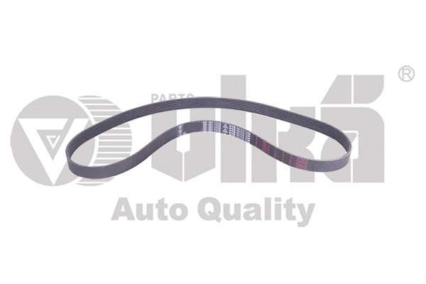 V-Ribbed Belt (99031775801)