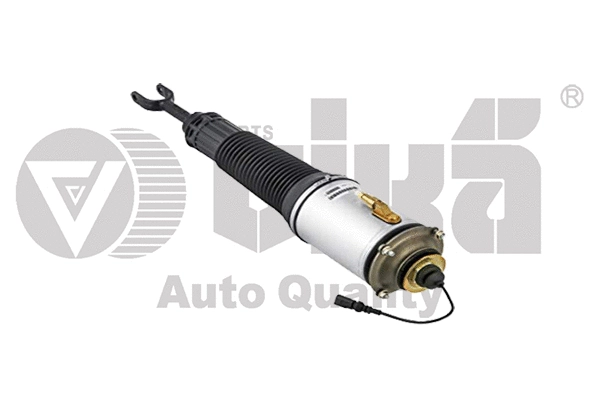 Air Suspension Strut (46160000101)