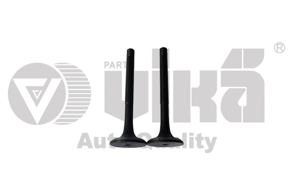 Intake Valve (11090176501)