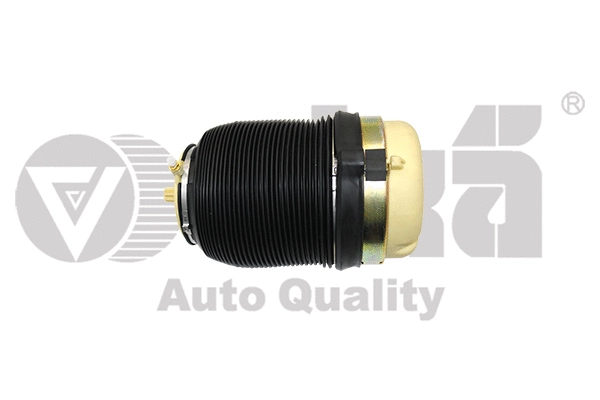 Air Suspension Strut (66160001601)