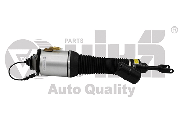 Air Suspension Strut (56160000101)