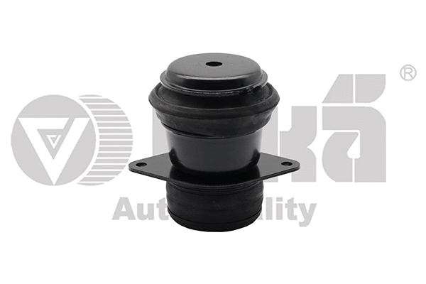 Mounting, engine (41991157401)