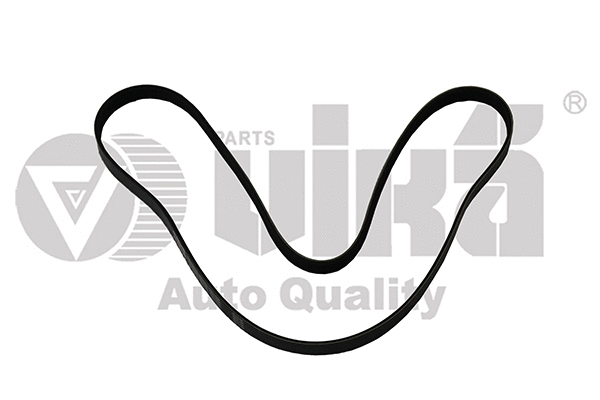 V-Ribbed Belt (11450598401)