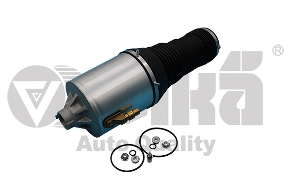 Air Suspension Strut (66160001701)