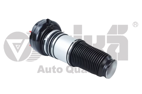 Air Suspension Strut (66160002201)