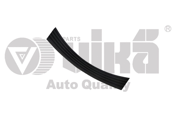 V-Ribbed Belt (21450593101)