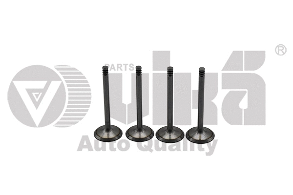 Intake Valve (11090175401)