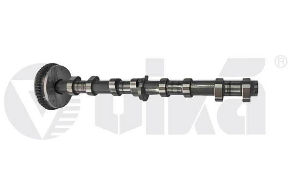 Camshaft (11091809001)