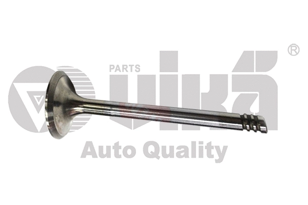 Intake Valve (11091793401)