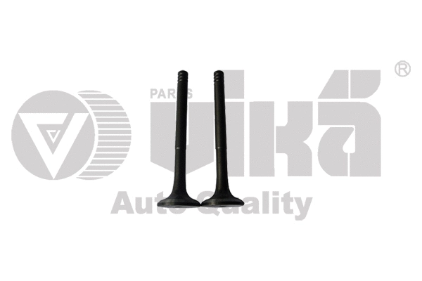 Exhaust Valve (11090213401)