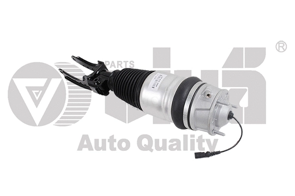 Air Suspension Strut (46160001001)