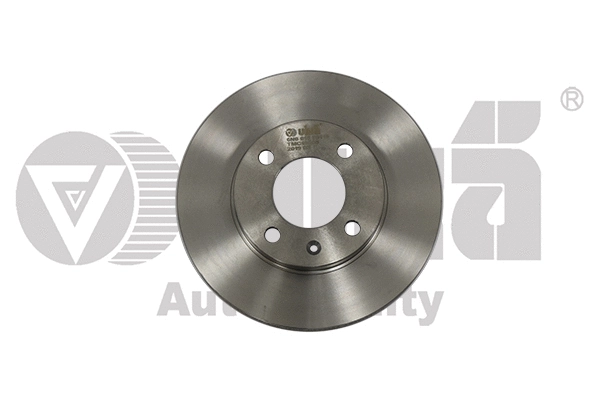 Brake Disc (66150920101)
