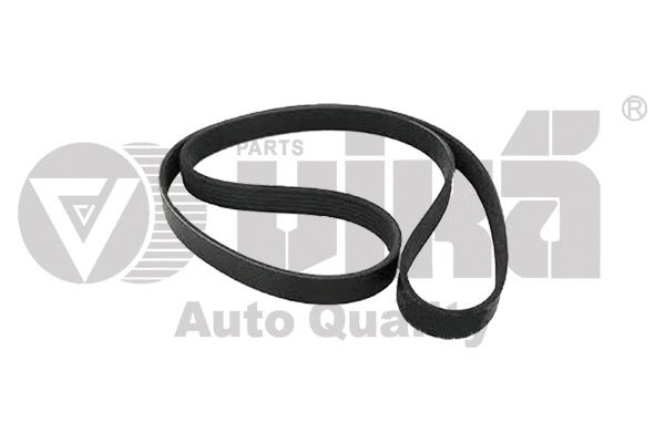 V-Ribbed Belt (11451774401)
