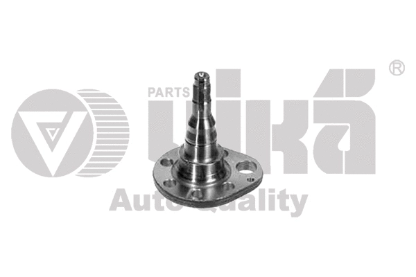 Wheel Hub (55010033701)