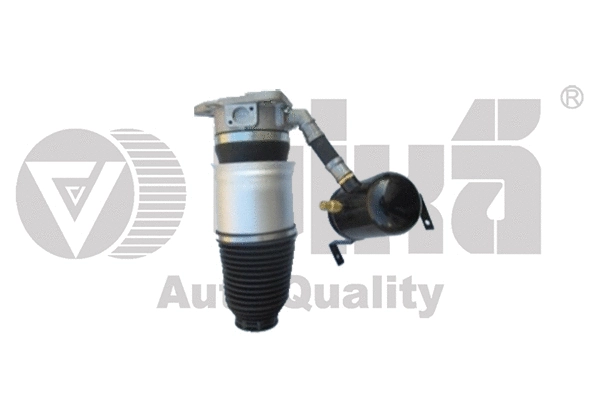 Air Suspension Strut (46160001501)