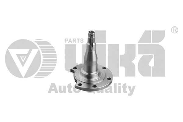 Wheel Hub (55010034101)