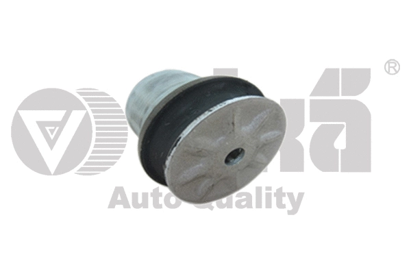 Bushing, axle beam (55011567601)