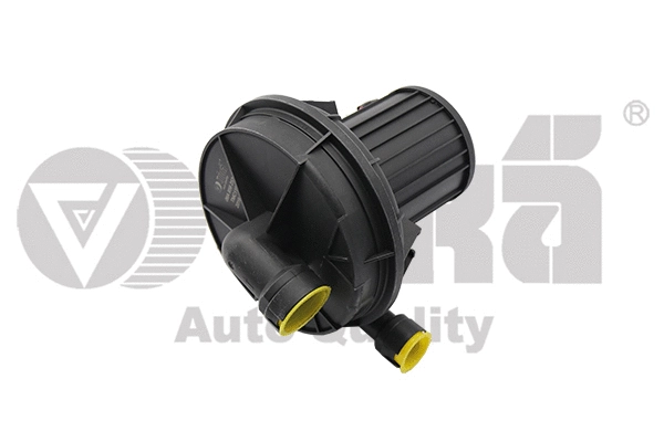 Secondary Air Pump (19590173601)