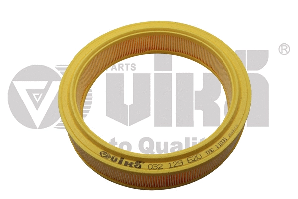Air Filter (11290196701)