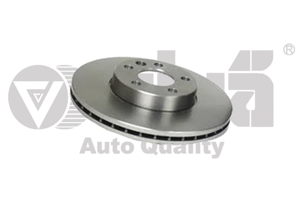 Brake Disc (66150920401)