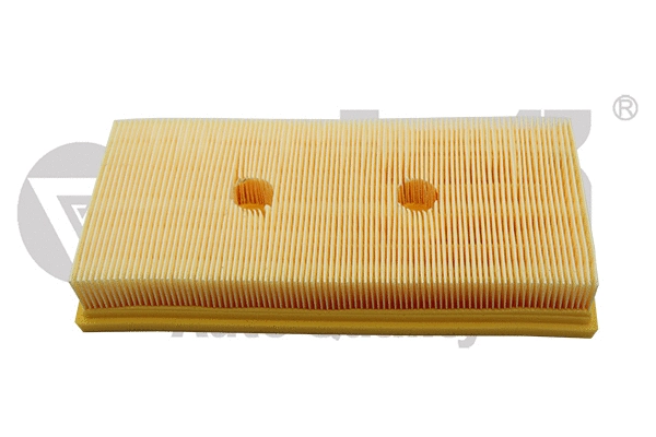 Air Filter (11290197101)