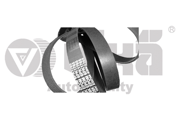 V-Ribbed Belt (12600605101)