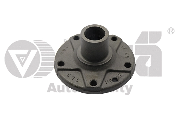 Wheel Hub (55011619801)