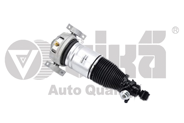 Air Suspension Strut (46160000701)