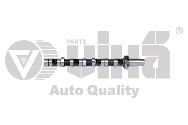 Camshaft (11091006901)