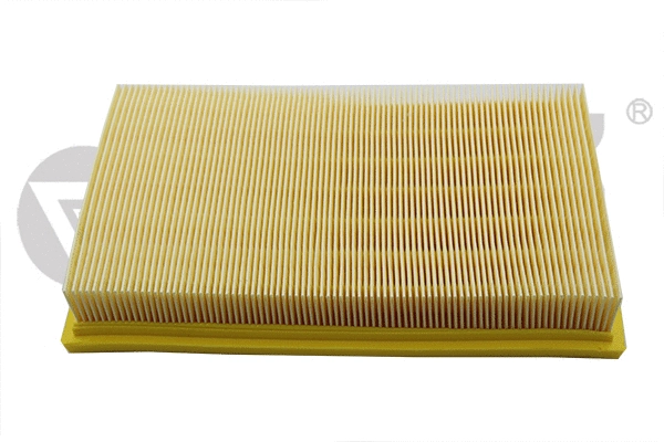 Air Filter (11980197001)