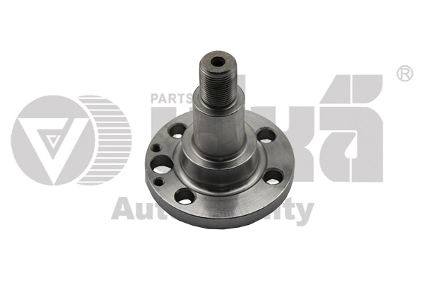 Wheel Hub (55010905901)